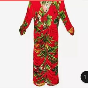 Zara dress